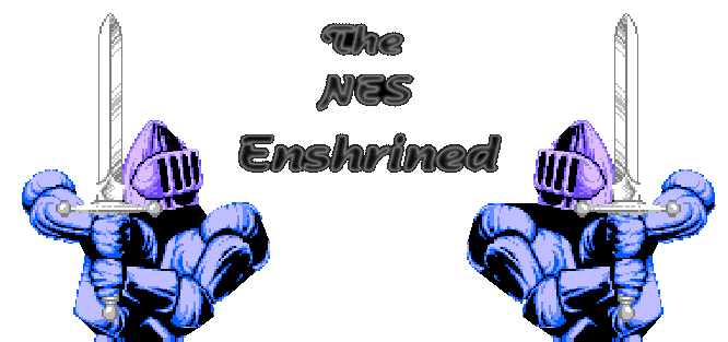 The NES Enshrined